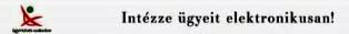 e-önkormányzat